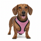Step-In Air Mesh Dog Harness – Lightweight, Breathable & Reflective Pet Walking Harness