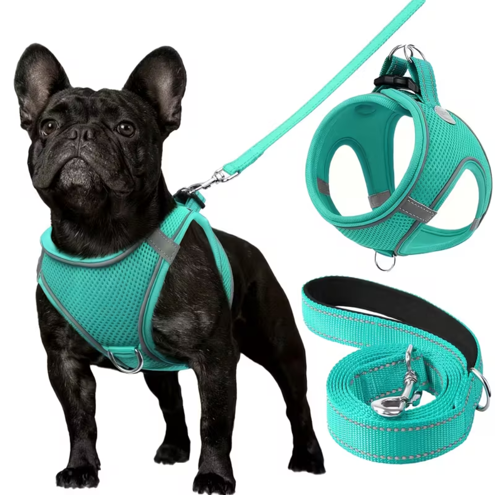 Adjustable Dog Harness & Leash Set – Reflective, Step-In Design for Easy Control