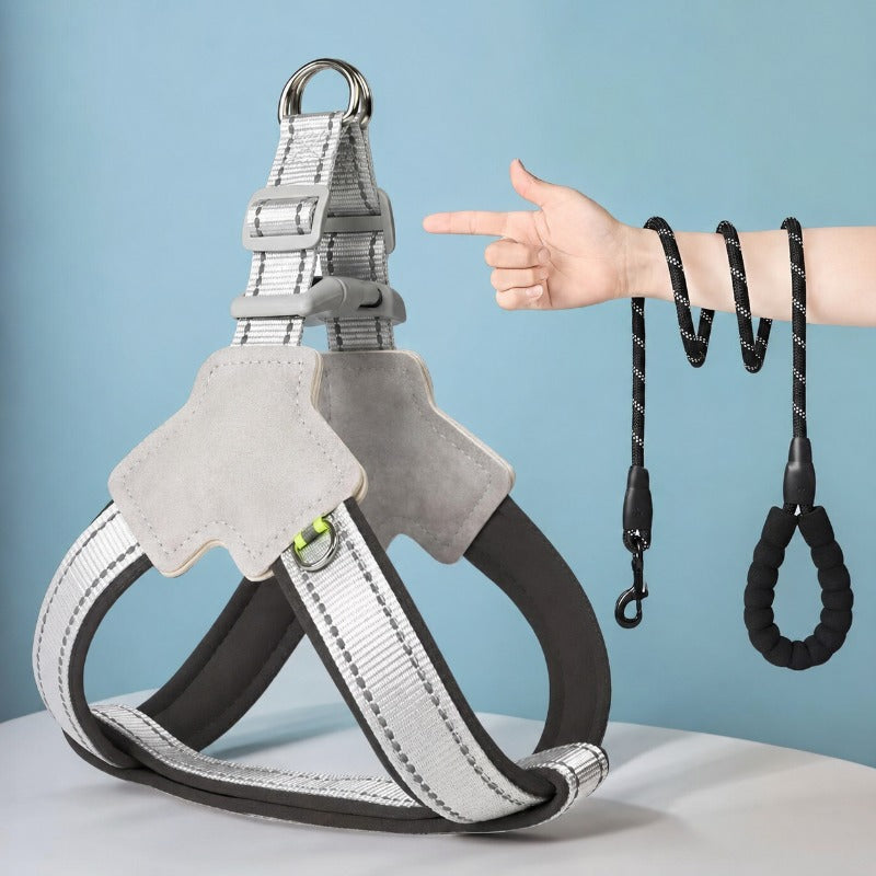 Safe Night Walk Gear for Pets & Owners