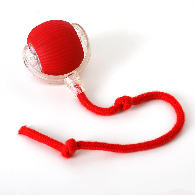 Active Rolling Dog Toy with Wiggly Tail – Interactive Chase Ball for Mental Stimulation & Exercise