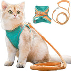Cat Harness – Safe, Comfortable & Escape-Proof for Outdoor Adventures