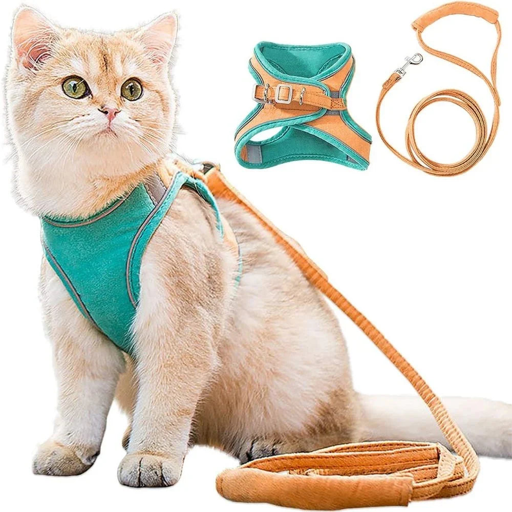 Cat Harness – Safe, Comfortable & Escape-Proof for Outdoor Adventures