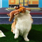Extra-Durable Dog Chew Toy – Built for Power Chewers