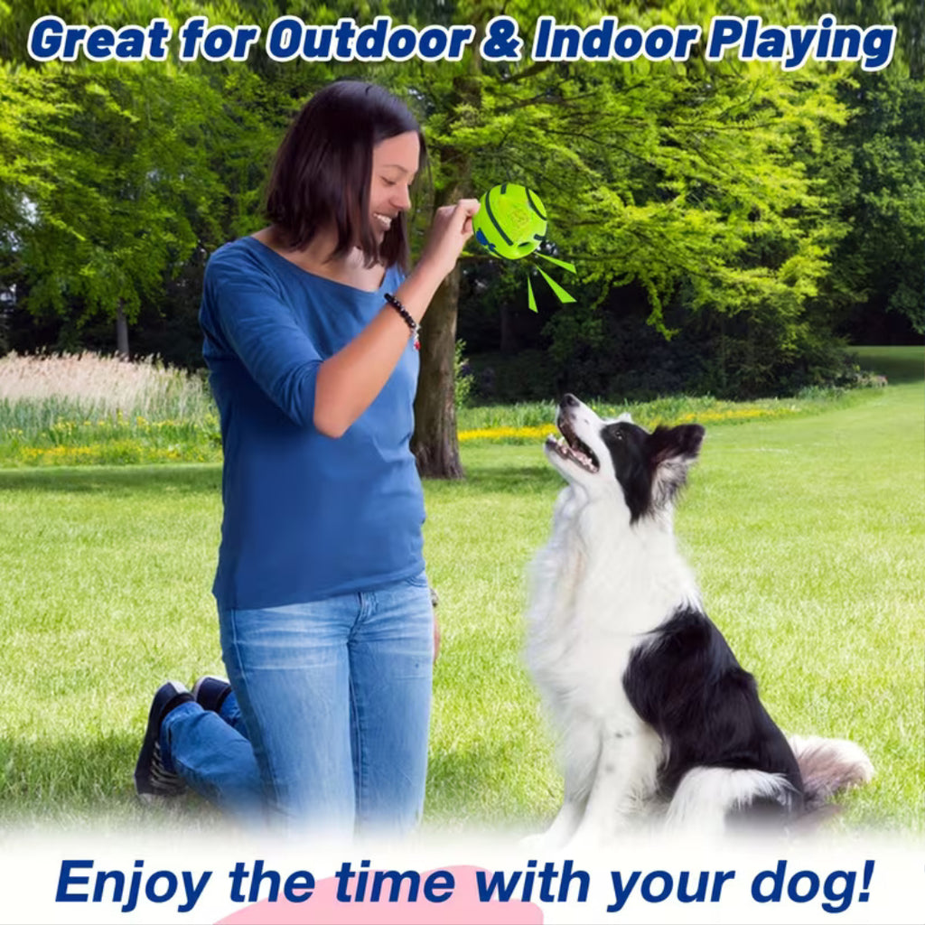 Interactive Dog Voice Ball Toy for IQ Training & Play