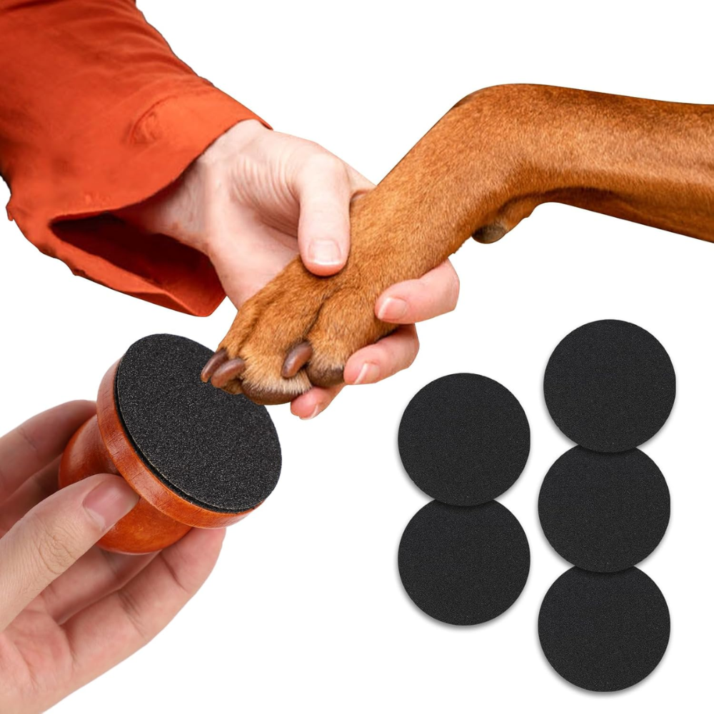 Dog Nail Filing Toy with Built-In Scratch Pad – Natural Nail Maintenance for Puppies & Adult Dogs
