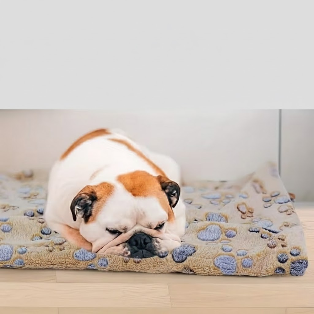 Paw Print Dog Blanket Set – Cute & Cozy Pet Bedding for Sofas, Crates & Floors