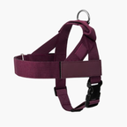 Adjustable Neck & Chafe-Resistant Dog Harness for Small Dogs – No-Pull, Soft Mesh, Easy-Click Buckle