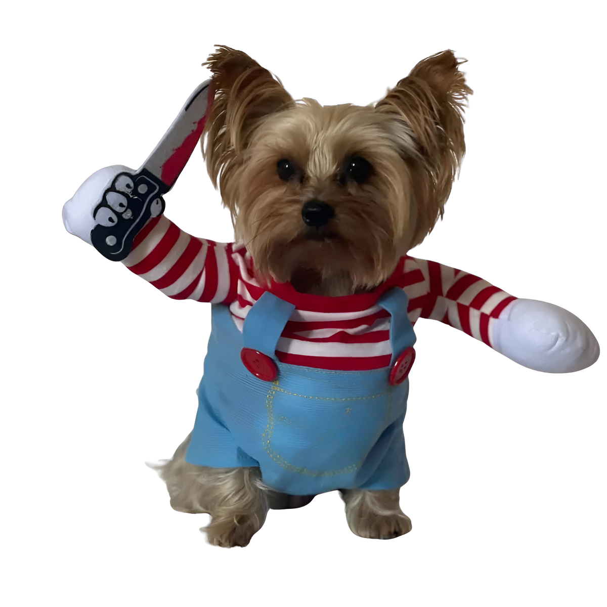 Yorkie Halloween Dog Costume – Cute Overalls Outfit for Small Dogs