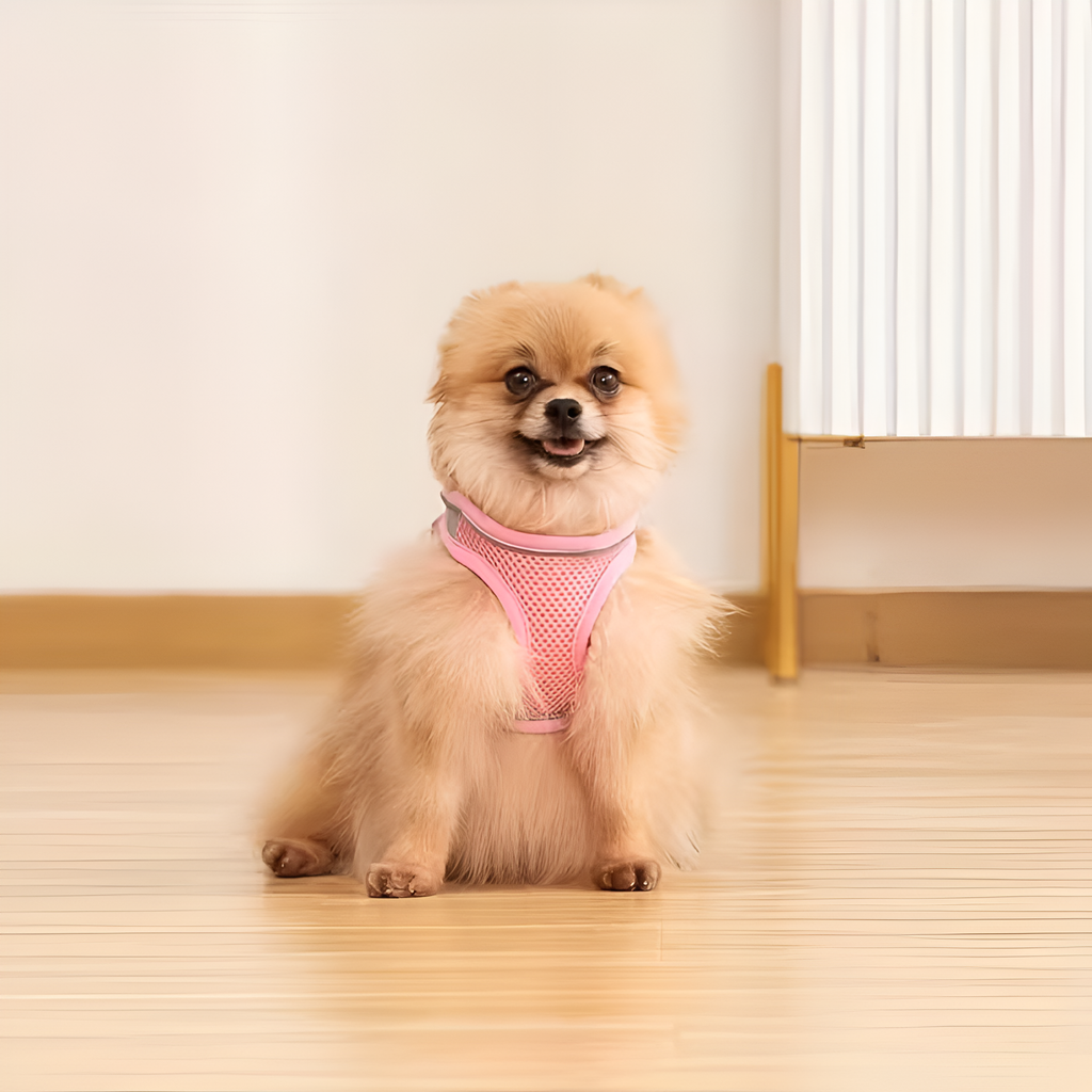 No-Pull Adjustable Dog Harness – Comfortable, Escape-Proof & Easy to Put On