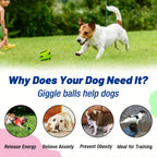 Interactive Dog Voice Ball Toy for IQ Training & Play