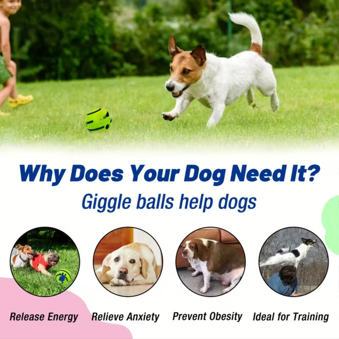 Interactive Dog Voice Ball Toy for IQ Training & Play