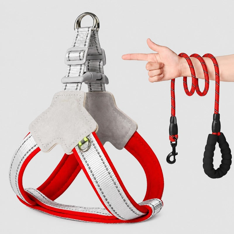 Safe Night Walk Gear for Pets & Owners