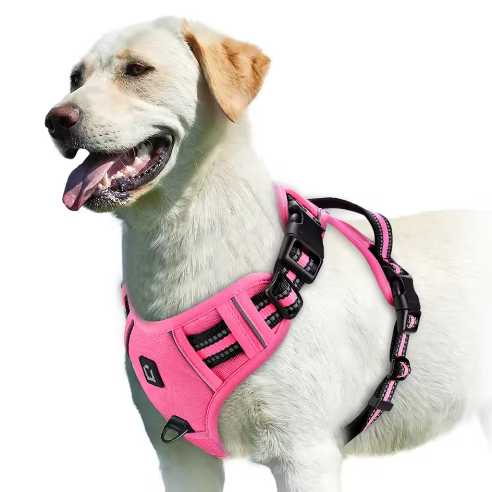 No-Pull Reflective Dog Harness with Top Handle – Easy Control for Walking & Training