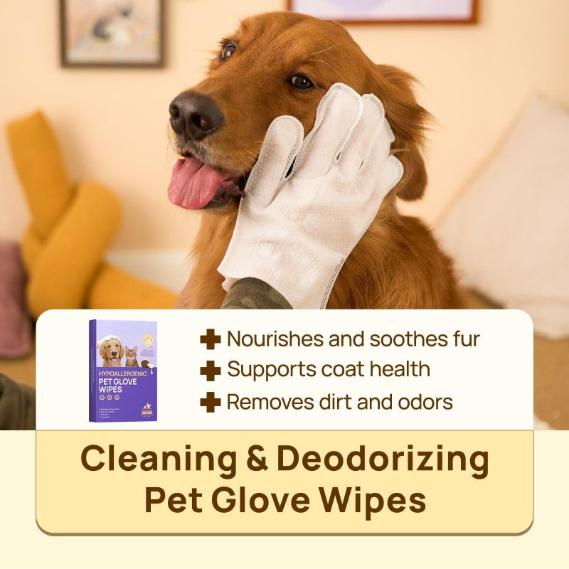 Waterless Pet Grooming Gloves – No-Rinse, Aloe & Oat Infused