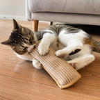 2-Pack Soft Kitten Scratching & Kicking Toys – Plush Cat Toys with Sisal Scratcher Surface