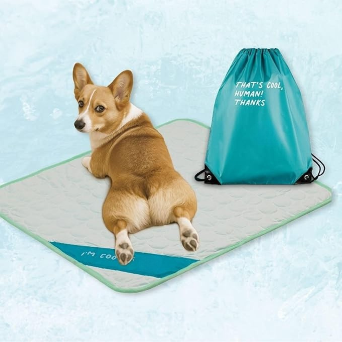 Portable & Washable Pet Cooling Mat – Instant Cool Surface for Crates, Cars & Travel