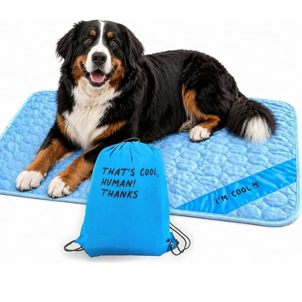 Portable & Washable Pet Cooling Mat – Instant Cool Surface for Crates, Cars & Travel