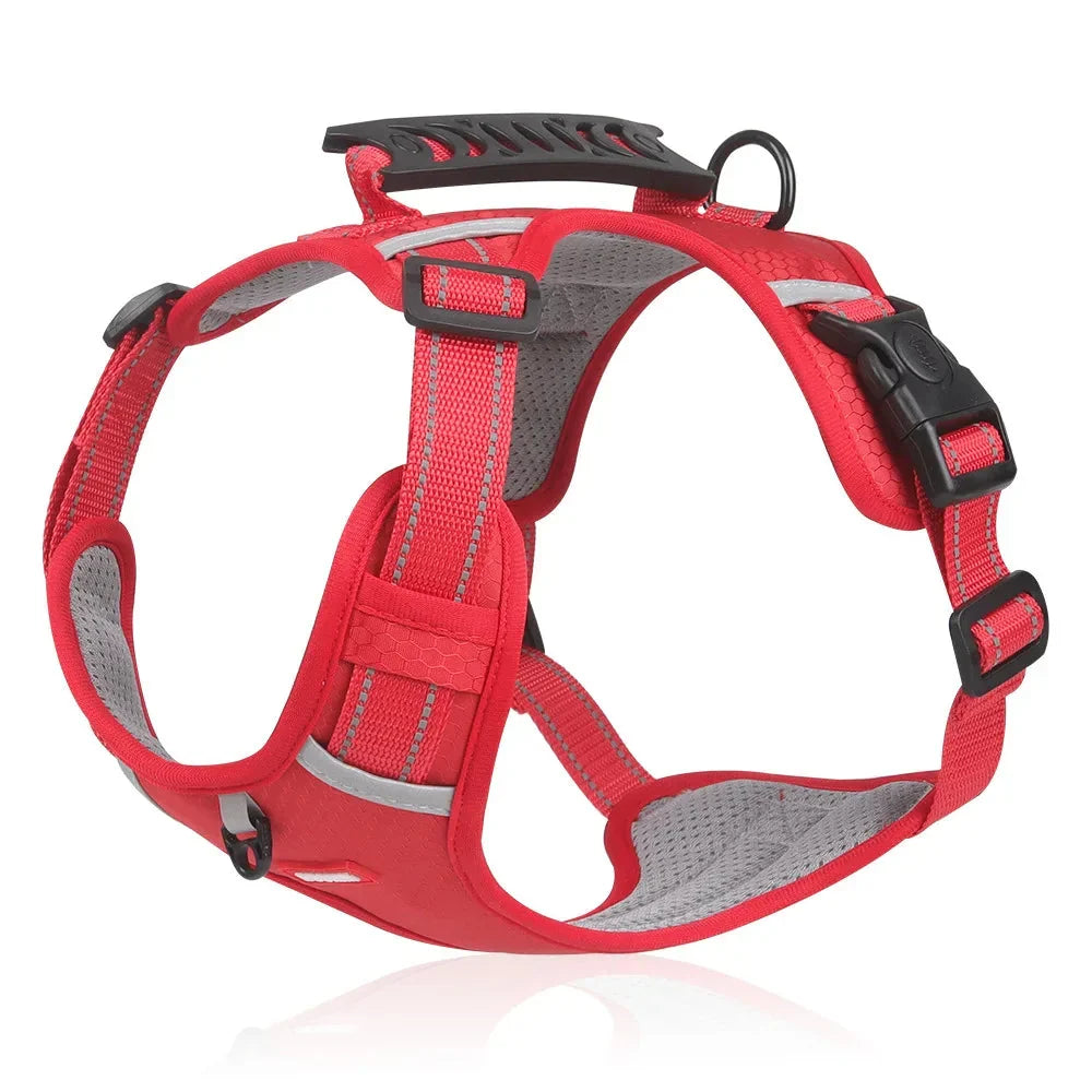No-Pull Dog Harness – WalkEase
