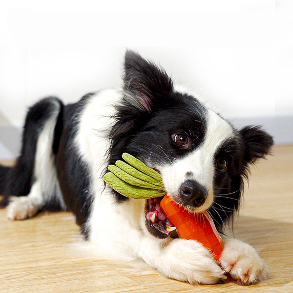 Eco-Friendly Natural Rubber Dog Chew Toy — Carrot Shape