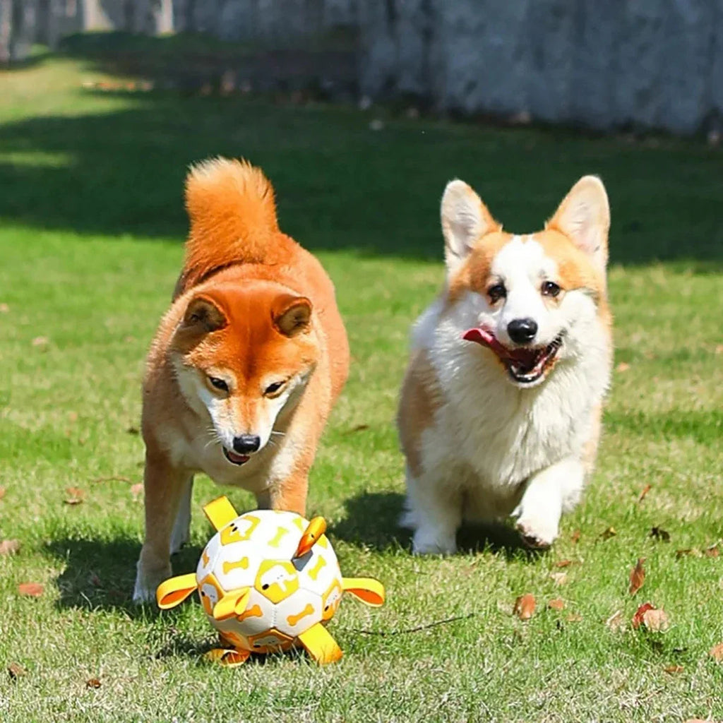 Dog Ball Toy with Integrated Pull Ropes — Durable Chew & Tug Toy for Active Dogs