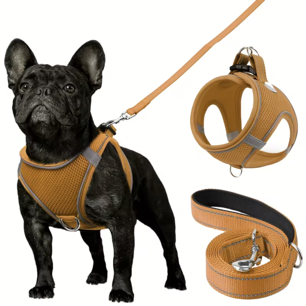 Adjustable Dog Harness & Leash Set – Reflective, Step-In Design for Easy Control