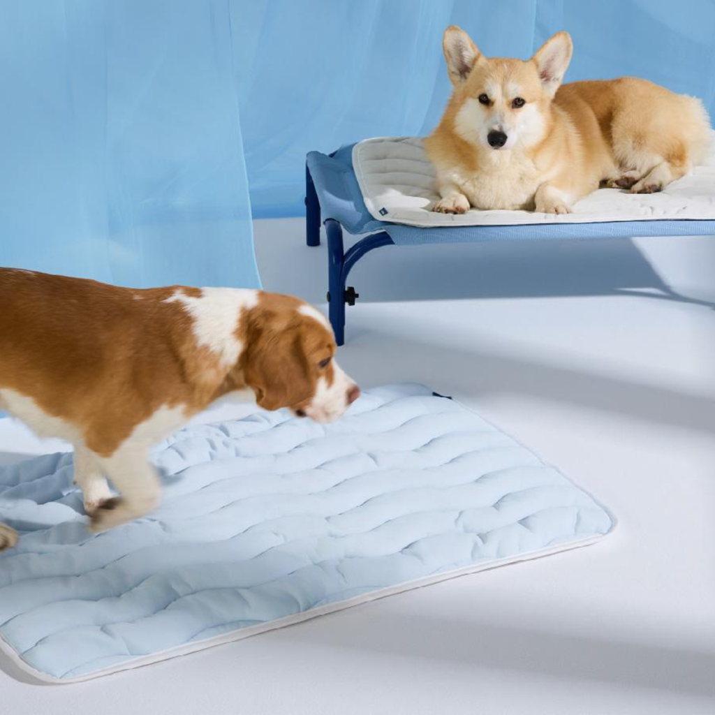 Dog Cooling Mat with Non-Slip Bottom – Instant Cool Pet Mat for Summer Heat Relief