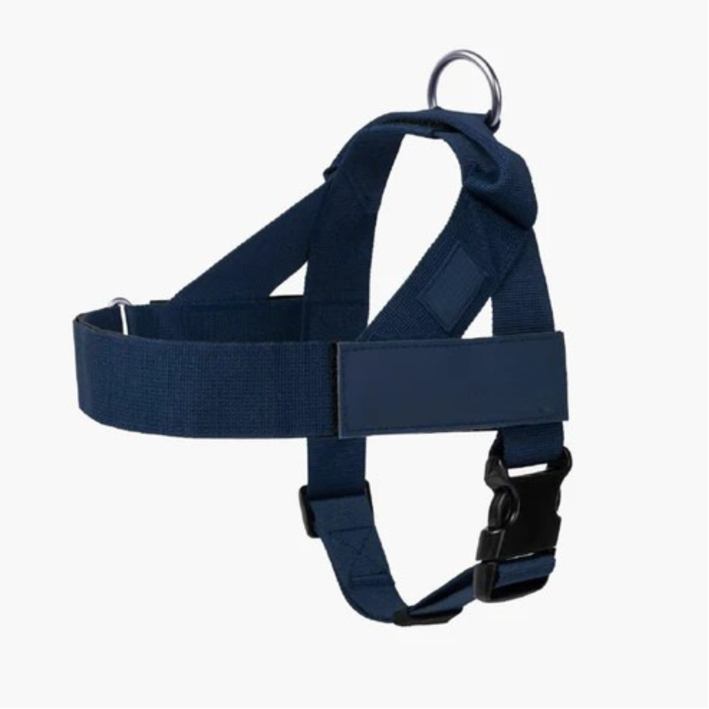 Adjustable Neck & Chafe-Resistant Dog Harness for Small Dogs – No-Pull, Soft Mesh, Easy-Click Buckle