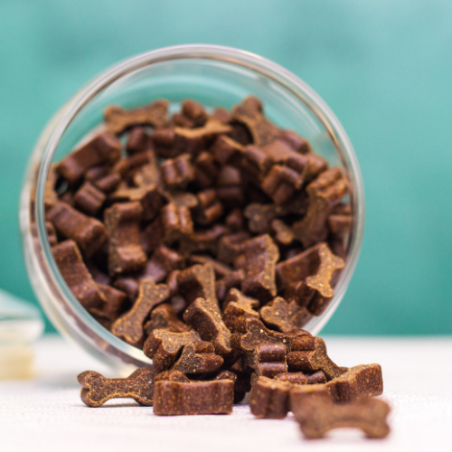 Homemade DIY Dog Treat Kit – Healthy, Fun & Made with Love