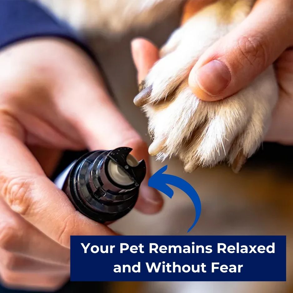 Silent Groom Pro – Ultra-Quiet Pet Grooming Tool