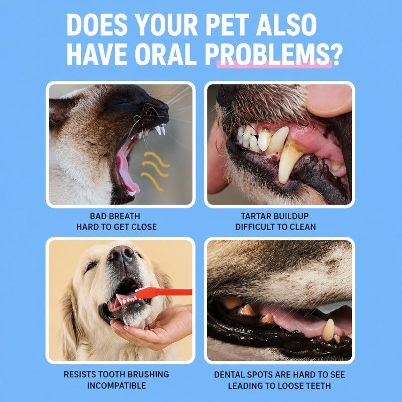 Dog & Cat Dental Finger Wipes — Gentle Plaque Removal & Breath Freshener