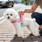 Foam Handle Dog Control Harness – Adjustable, Breathable & Training-Ready