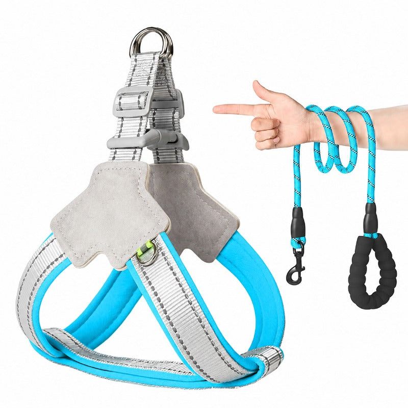 Safe Night Walk Gear for Pets & Owners