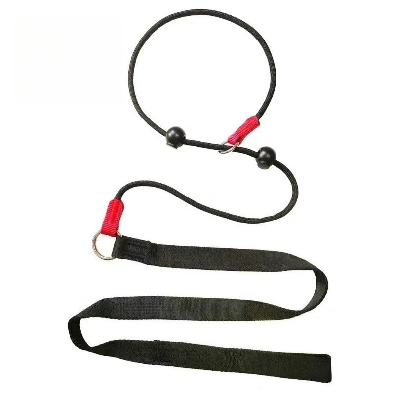 2-in-1 Slip-Lead Dog Leash – Training Collar + Walking Leash with Anti-Tangle Swivel