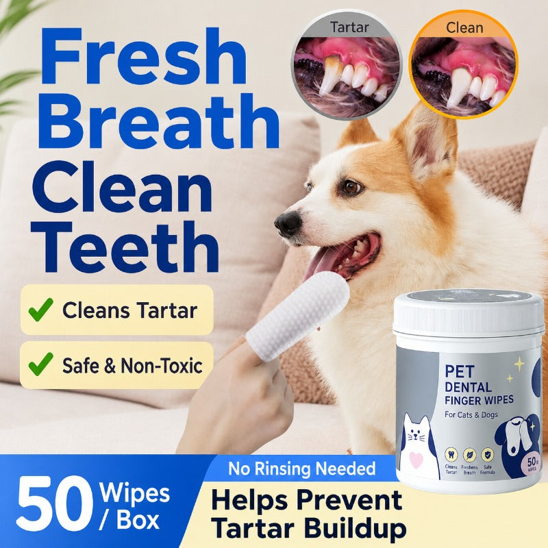 Dog & Cat Dental Finger Wipes — Gentle Plaque Removal & Breath Freshener