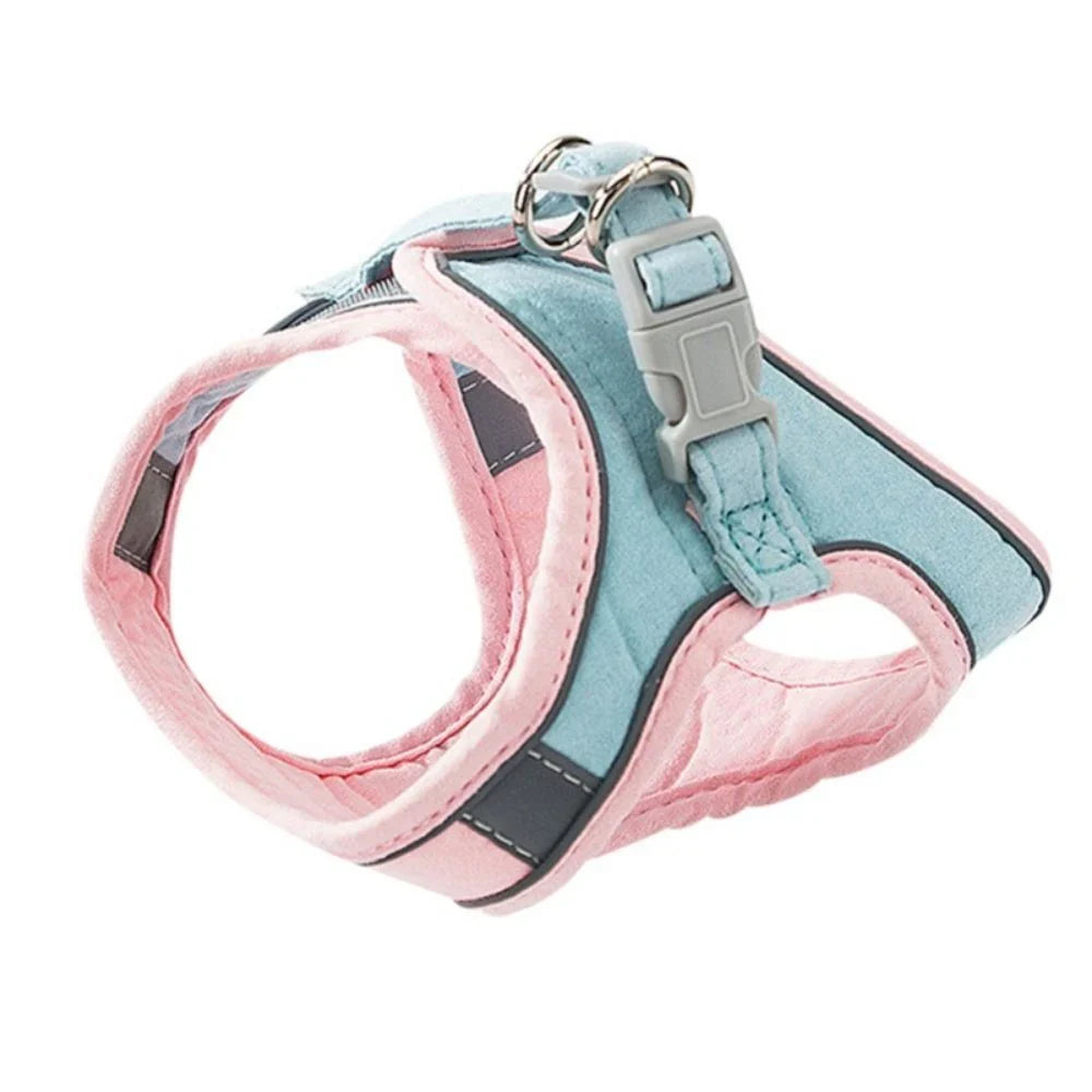 Cat Harness – Safe, Comfortable & Escape-Proof for Outdoor Adventures