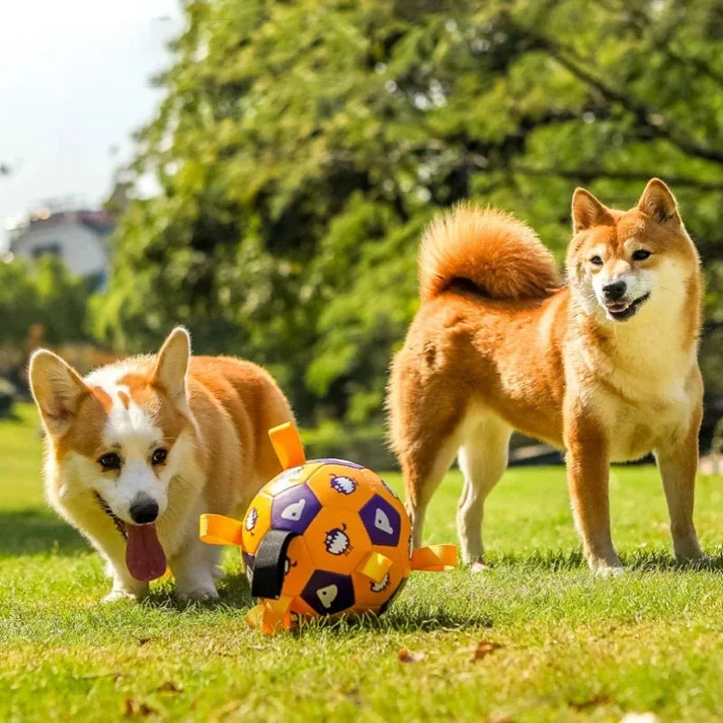 Dog Ball Toy with Integrated Pull Ropes — Durable Chew & Tug Toy for Active Dogs
