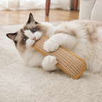 2-Pack Soft Kitten Scratching & Kicking Toys – Plush Cat Toys with Sisal Scratcher Surface