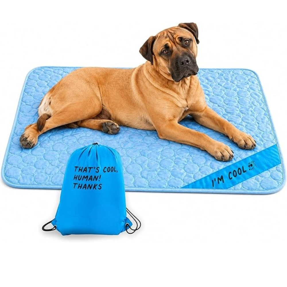 Portable & Washable Pet Cooling Mat – Instant Cool Surface for Crates, Cars & Travel