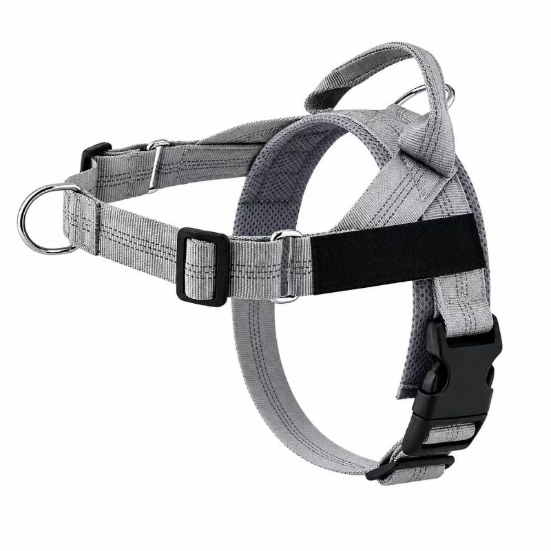 Breathable Mesh No-Pull Dog Harness – Stop Leash Pulling Instantly