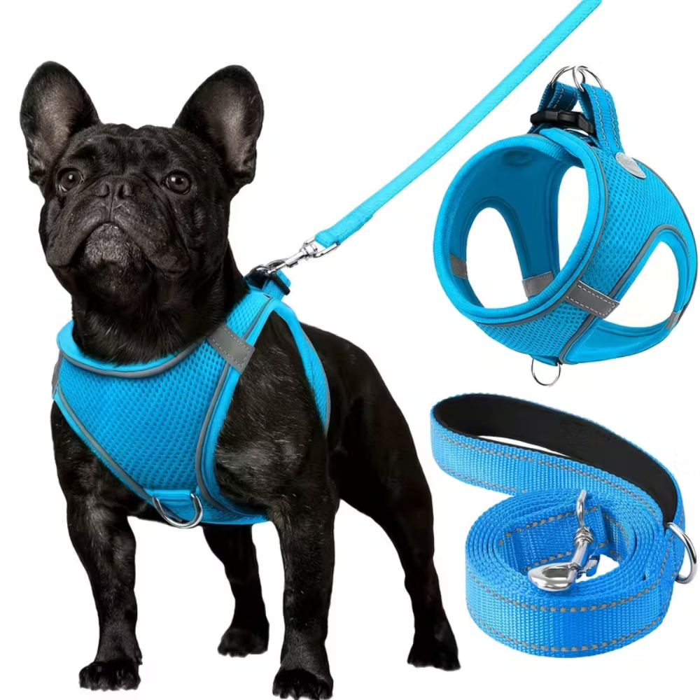 Adjustable Dog Harness & Leash Set – Reflective, Step-In Design for Easy Control