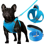 Adjustable Dog Harness & Leash Set – Reflective, Step-In Design for Easy Control