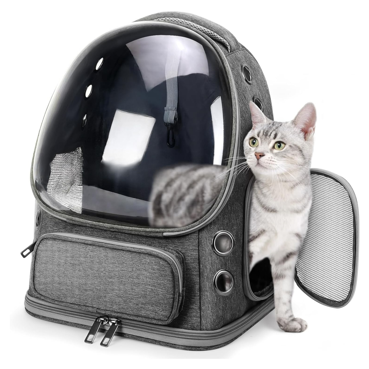 Expandable Bubble Travel Carrier Backpack for Cats & Small Dogs