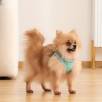 No-Pull Adjustable Dog Harness – Comfortable, Escape-Proof & Easy to Put On