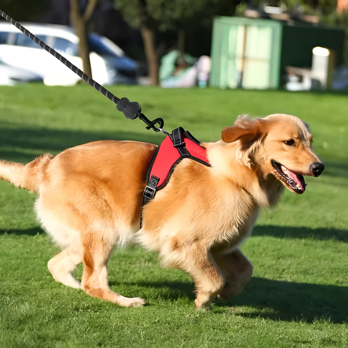 Adjustable Dog Harness with Top Handle & Reflective Straps