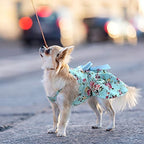4-Piece Dog Princess Sundress Set – Floral Bowknot Pet Dresses for Small Dogs & Cats, Summer Puppy Outfit