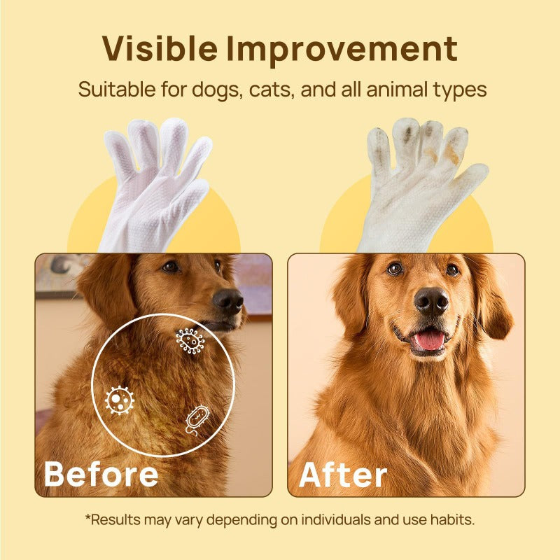 Waterless Pet Grooming Gloves – No-Rinse, Aloe & Oat Infused