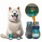 LED Light-Up Dog Boots – Glow-in-the-Dark Pet Shoes for Night Walks