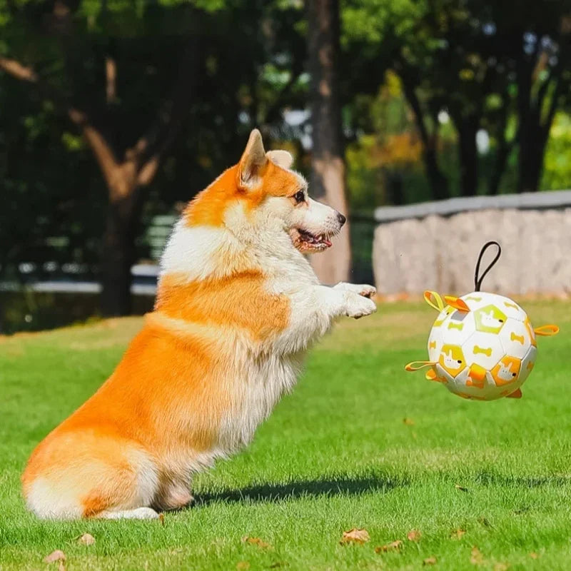 Dog Ball Toy with Integrated Pull Ropes — Durable Chew & Tug Toy for Active Dogs