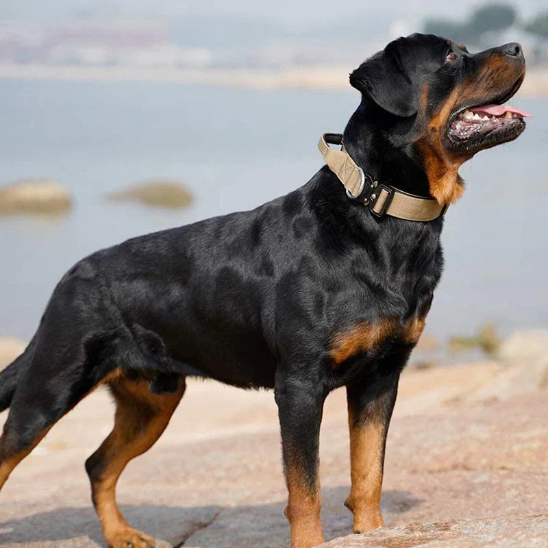 Tactical Dog Collar with Control Handle – GripMaster