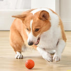 Interactive Jumping Ball for Dogs – Self-Rolling, Unpredictable Play Toy